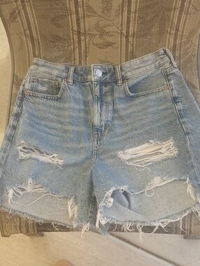American Eagle Outfitters Baggy Mom Short Sz 6
